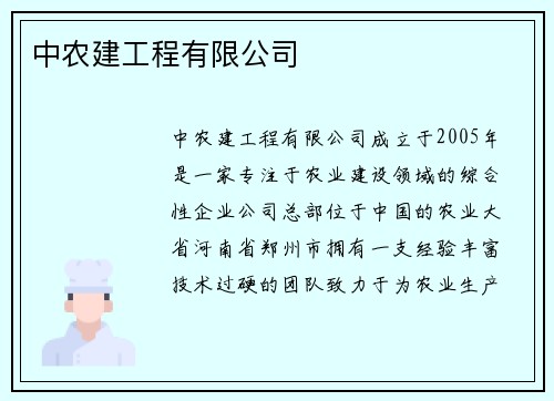 中农建工程有限公司