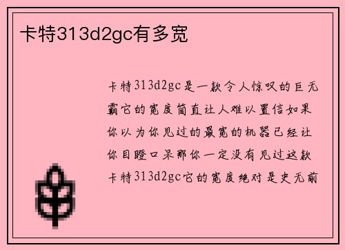 卡特313d2gc有多宽