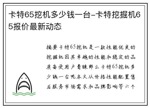 卡特65挖机多少钱一台-卡特挖掘机65报价最新动态