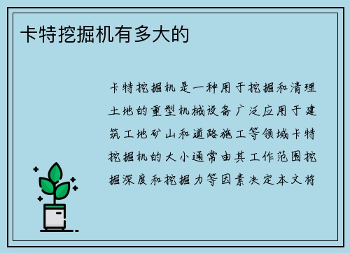 卡特挖掘机有多大的