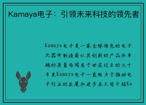 Kamaya电子：引领未来科技的领先者